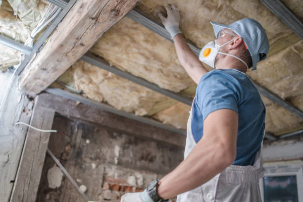 Best Insulation Maintenance and Repair in Gardendale, TX