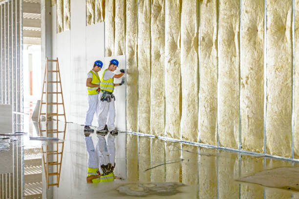 Best Cellulose Insulation in Gardendale, TX